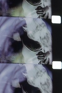 Poster for Tung