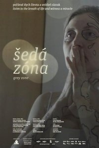 Poster for Grey Zone