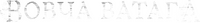 Logo 25