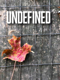 Poster for Undefined
