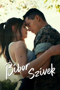 Poster 26