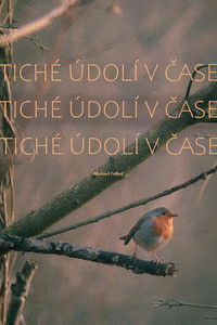 Tiché údolí v čase