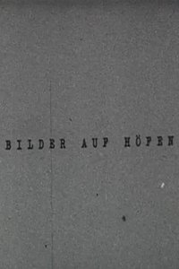 Bilder auf Höfen