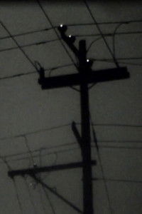 Poster for For Karen Holmes