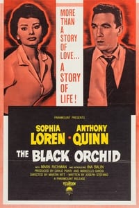 poster The Black Orchid