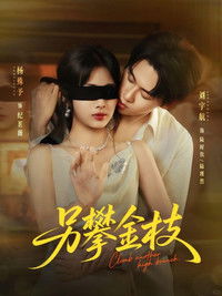 Poster for 另攀金枝