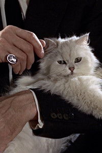 Poster for Last Movies