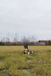 Poster for The Burden of Nature (field)