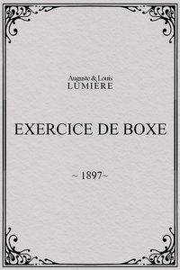 Exercice de boxe