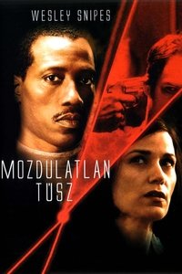 Poster 6