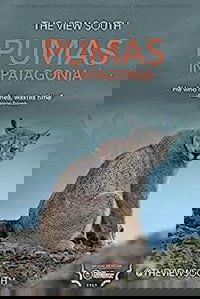 Pumas in Patagonia