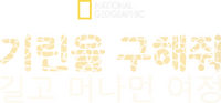 Logo 6