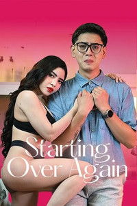 Poster for Starting Over Again