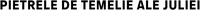 Logo 43