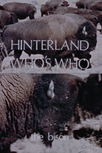 Poster for Hinterland Who's Who: The Bison