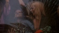 Backdrop 1