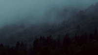 Backdrop 69