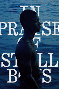 Poster for In Praise of Still Boys