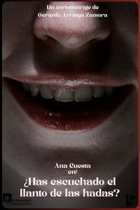 Poster for ¿Has escuchado el llanto de las hadas?