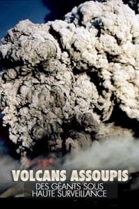 poster Volcans assoupis - Des géants sous haute surveillance