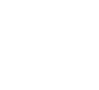 Logo 20