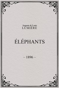 Elephants