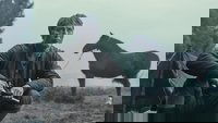 Backdrop 8