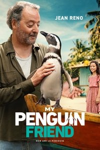Poster 13