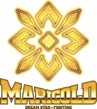 logo for Dream Star★Fighting Marigold