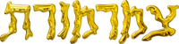 Logo 30