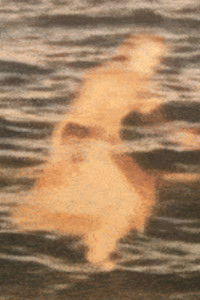 Poster for Mrs William Horsley's Vexations