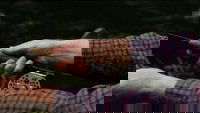 Backdrop 30