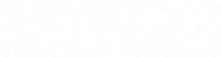 Logo 13
