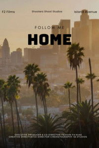 Poster for Follow Me Home