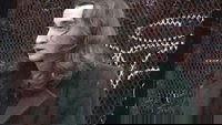 Backdrop 5