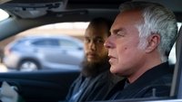 Episodio 8