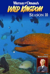 Poster for Season 10