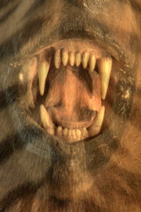 Poster for The Many Colors of the Sky Radiate Forgetfulness