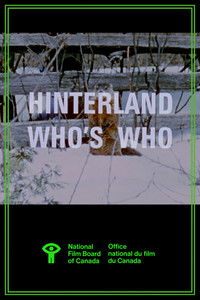 Poster for Hinterland Who's Who: Woodchuck
