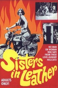 Poster 3