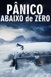 Poster 13