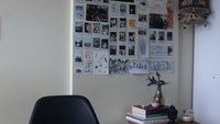 Backdrop 0