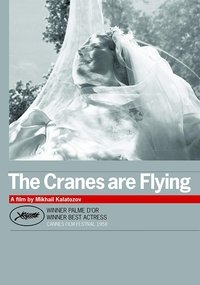 Poster 23