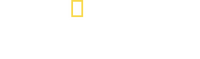 Logo 7