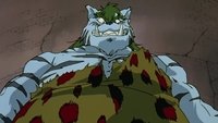 El infernal grito de guerra del tigre blanco