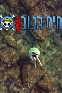 Poster for Stolen Water