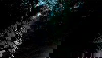 Backdrop 0