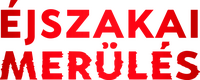 Logo 13