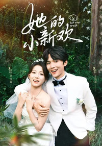 Poster for 她的小新欢