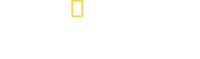 Logo 13